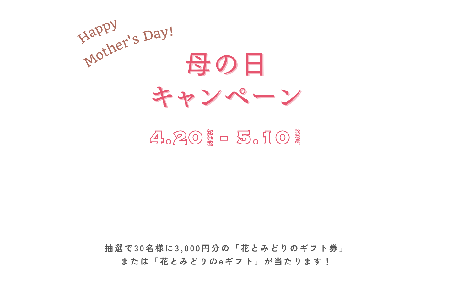 母の日キャンペーン