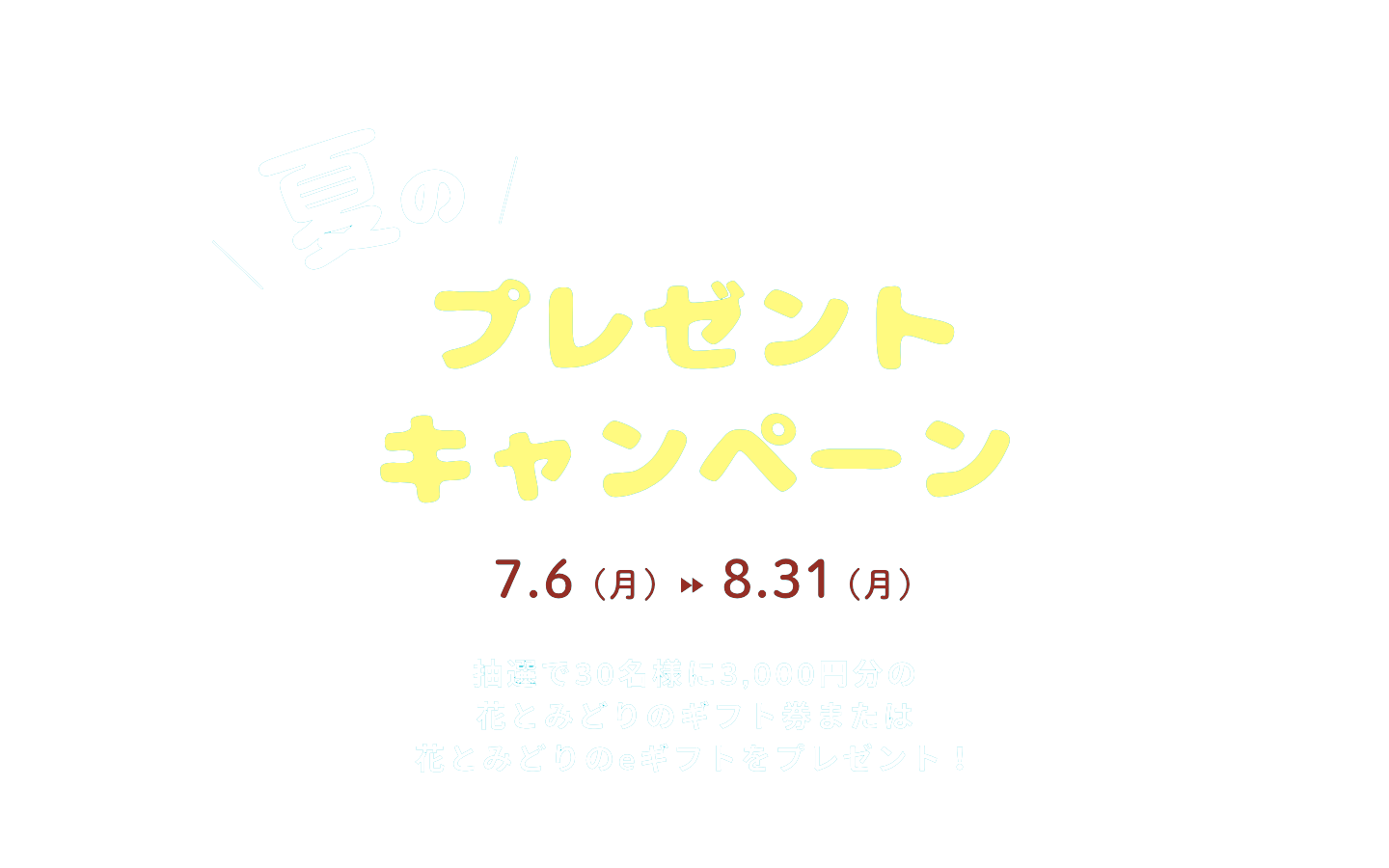 夏のプレゼントキャンペーン