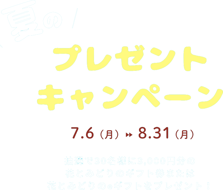 夏のプレゼントキャンペーン